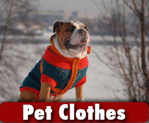 pet clothes